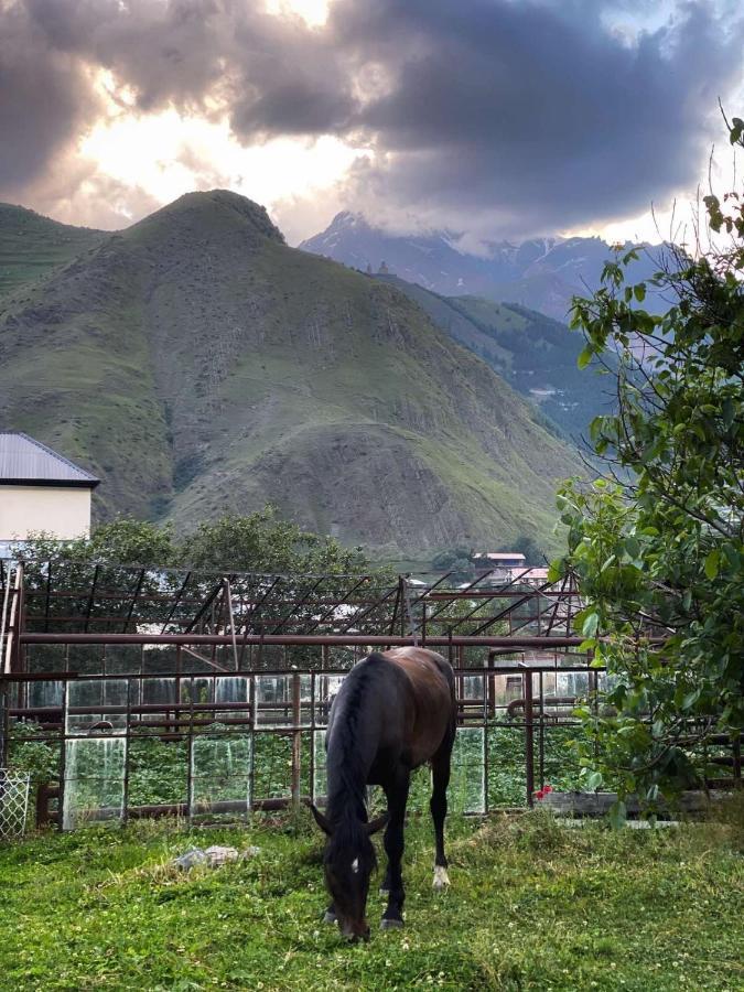 Dato Khetaguri Apartment Kazbegi Ngoại thất bức ảnh