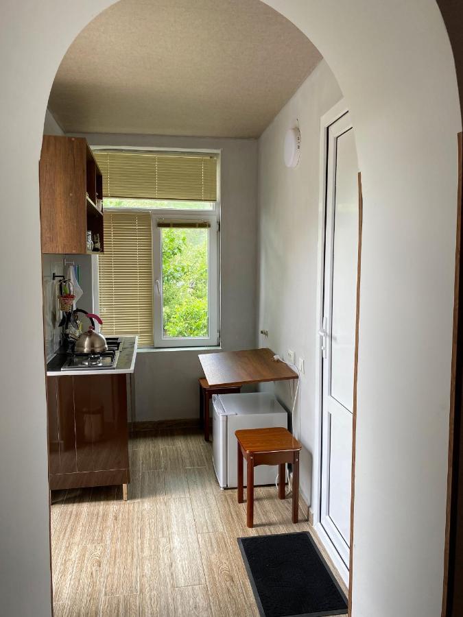 Dato Khetaguri Apartment Kazbegi Ngoại thất bức ảnh