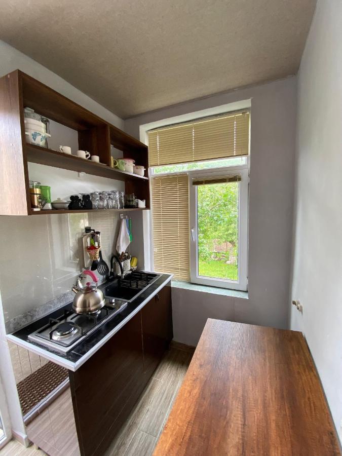 Dato Khetaguri Apartment Kazbegi Ngoại thất bức ảnh